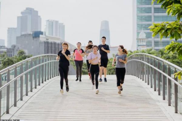 阿根廷世界杯决赛集锦_阿根廷世界杯决赛精彩